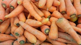 Carrots